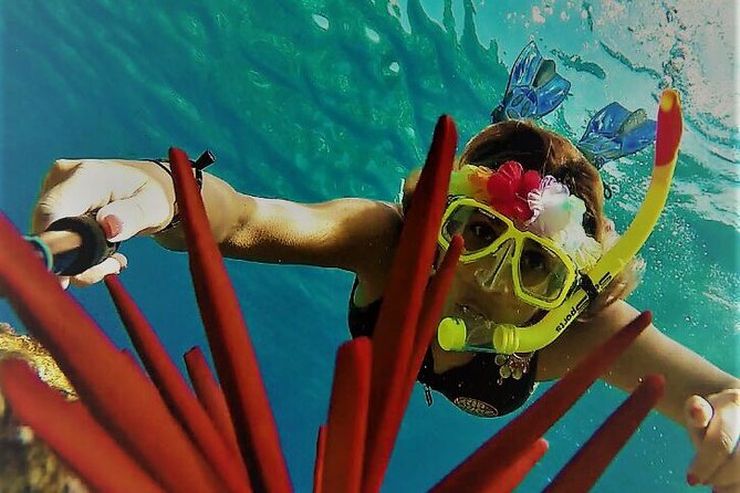 Super Raft - Private Charter Maui 3 Hour Snorkel to Coral Gardens or Molokini - Where to meet and how the physical side fits