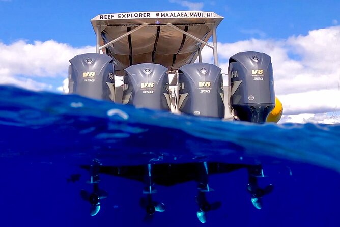 Super Raft - Private Charter Maui 3 Hour Snorkel to Coral Gardens or Molokini - Who should book this Super Raft snorkel charter
