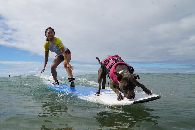 Surf with a Service Animal - 5 Things That Make This Church-and-Surf Lesson Different