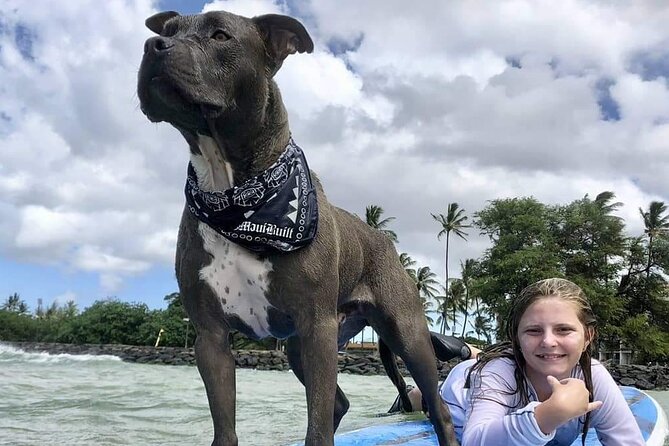 Surf with a Service Animal - Maui Surfing, But With Church in the Mix