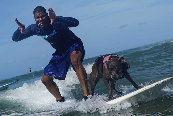 Surf with a Service Animal - Equipment Included: What You Get and What You Still Need