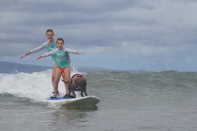 Surf with a Service Animal - Private Tour Value: Paying $200 for More Than a Ticket