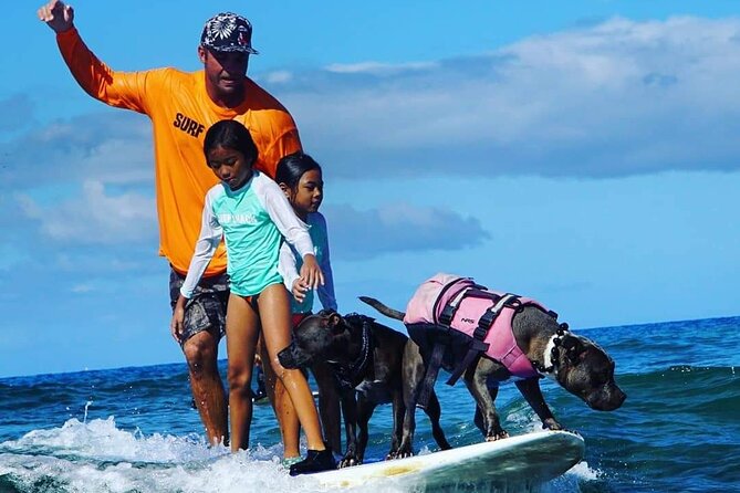 Surf with a Service Animal - Timing and What Your 1h45 Might Feel Like
