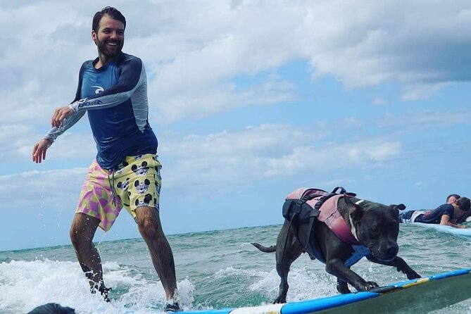 Surf with a Service Animal - Weather Matters More Than You Think