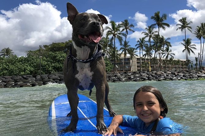 Surf with a Service Animal - Where You Start at Ukumehame Beach Park