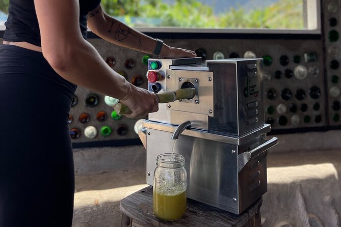 Taste of Hawaii: A Maui Farm Tour - Lā Kāhea Community Farm: a Maui food tour with real farm roots