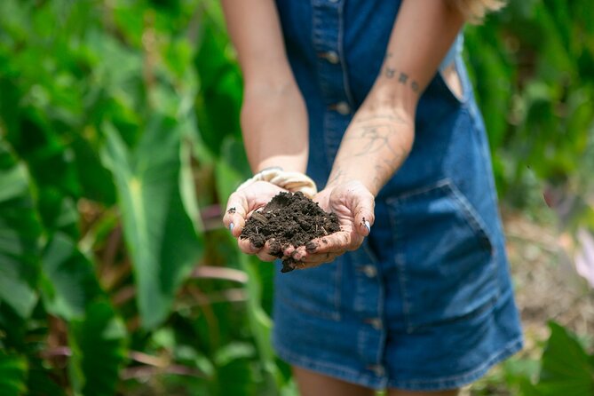 Taste of Hawaii: A Maui Farm Tour - Sugarcane juice: the hands-on moment that turns learning into a memory