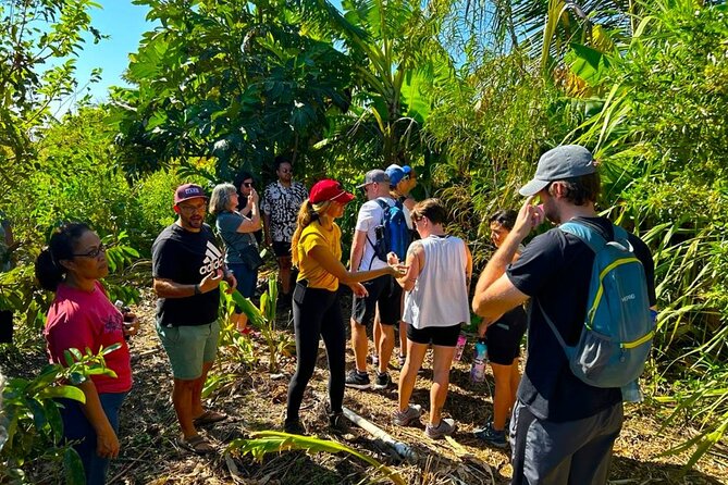 Taste of Hawaii: A Maui Farm Tour - Weather and pacing: what to expect if conditions aren’t perfect