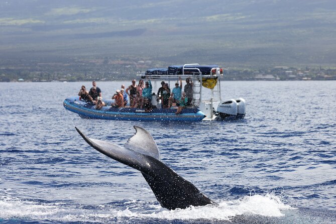The Best 10 am 1.5 Hour Whale Watching Tour - Spotting quickly: what to expect once the crew finds a pod