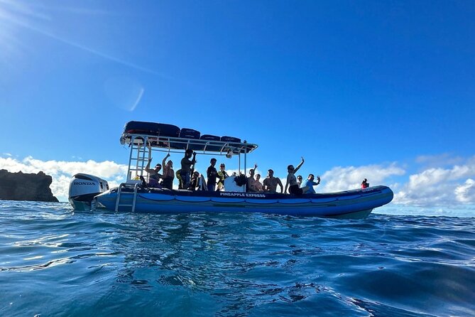 The Best 10 am 1.5 Hour Whale Watching Tour - When whales come close: the safety stretch and why it’s good