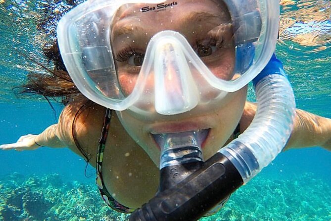 The Best 2.5 Hour Molokini Snorkel Tour & Whale Watch - What’s included for $169.59: where the value lands