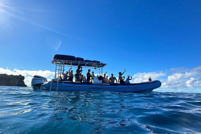 The Best 2.5 Hour Molokini Snorkel Tour & Whale Watch - Crew guidance and safety: how the experience stays smooth