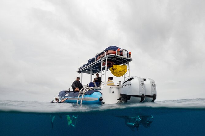The Best 2 Hour Molokini Express Snorkeling - Key Highlights You’ll Notice Fast