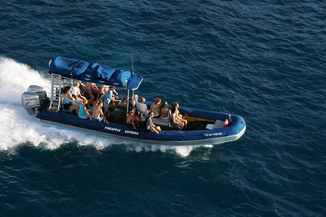 The Best 4 hour inclusive Kanaio Sea Caves and La Perouse Snorkel - Getting moving from Kihei at 7:00 am