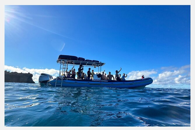 The Best 8 am 1.5 Hour Whale Watching Tour - What’s included: juices, bottled water, and the no-restroom reality