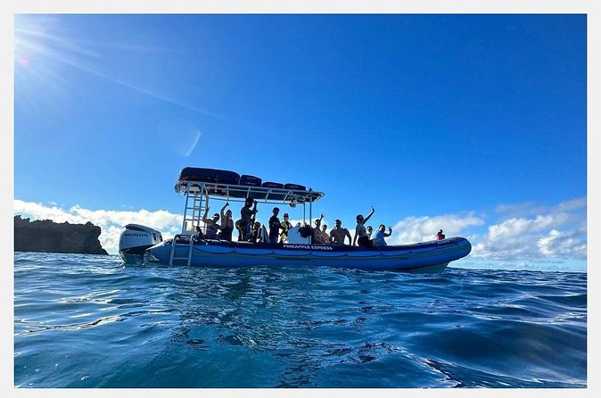 The Best 8 am 1.5 Hour Whale Watching Tour - Crew energy: the guides and captains who keep it fun and safe