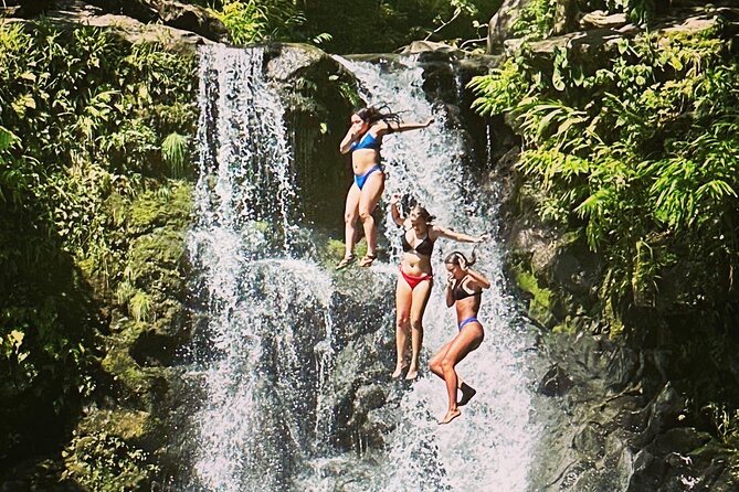 The best half day of your life! Luxury Road to Hana private tour - Starting At Lowe’s: A Practical Pickup That Sets You Up