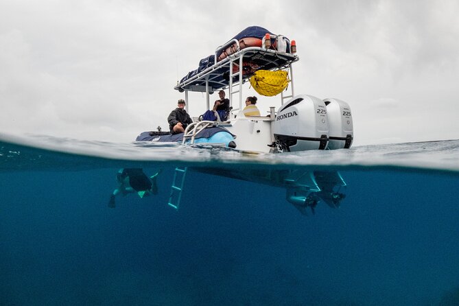 The Best Maui 3 Hour Molokini and Turtle Town Snorkel - What You Get Included: Gear, Breakfast, Snacks, and Food Options