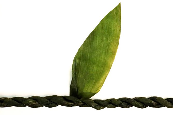Ti Leaf Airport Lei Greeting (Maui, Kahului Airport, OGG) - Lei Greeting at Kahului: the fast start you’ll feel all day