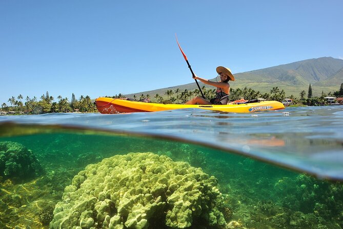 Turtle Reef Kayak Tour of Makena, Maui - Price and Logistics: Paying $121 and Getting What You’d Want Anyway