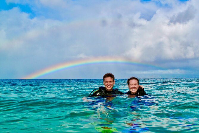 Turtle & Shark Scuba Dive in Lahaina: Certified - Key highlights worth knowing