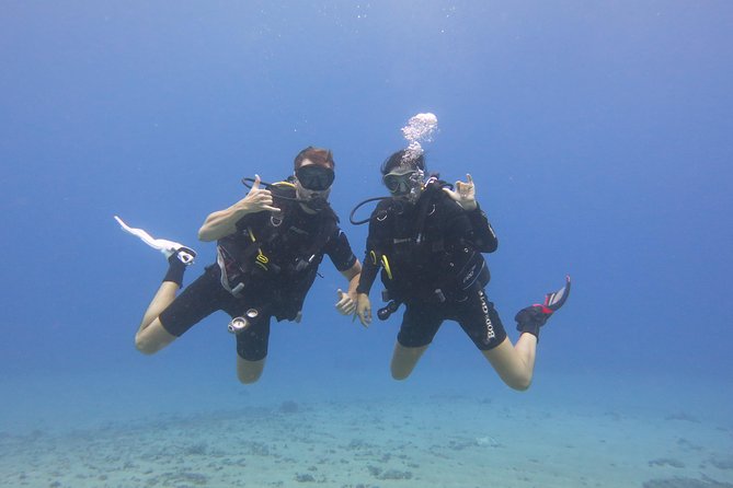Turtle & Shark Scuba Dive in Lahaina: Certified - Lahaina’s turtle-and-shark underwater time is built for certified divers
