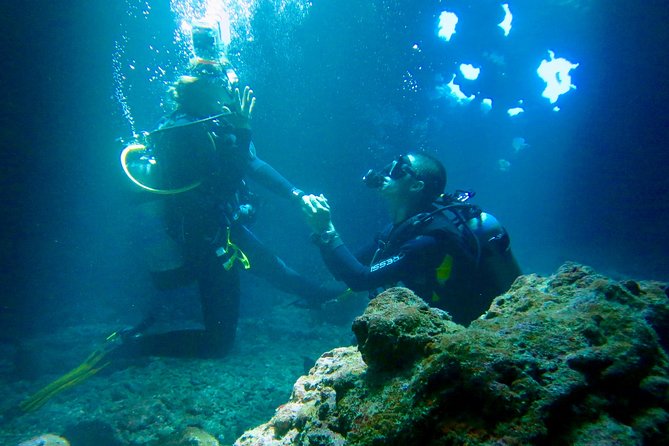 Turtle & Shark Scuba Dive in Lahaina: Certified - Equipment and instruction: what “private attention” feels like