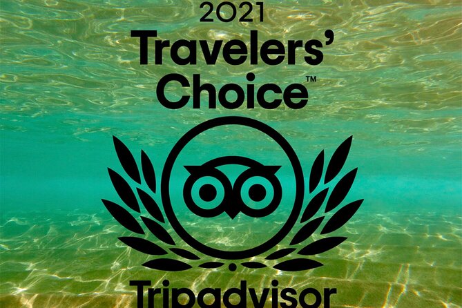 Turtle & Shark Scuba Dive in Lahaina: Certified - How long you’ll actually be in the water (and why it varies)