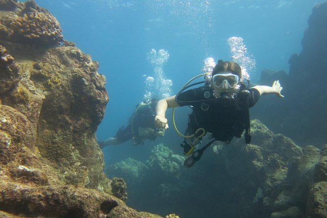 Turtle & Shark Scuba Dive in Lahaina: Certified - After the session: the 18-hour rule that can mess up your flight