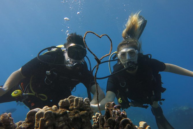 Turtle & Shark Scuba Dive in Lahaina: Certified - Meeting at Front Street: how to check in without wasting daylight