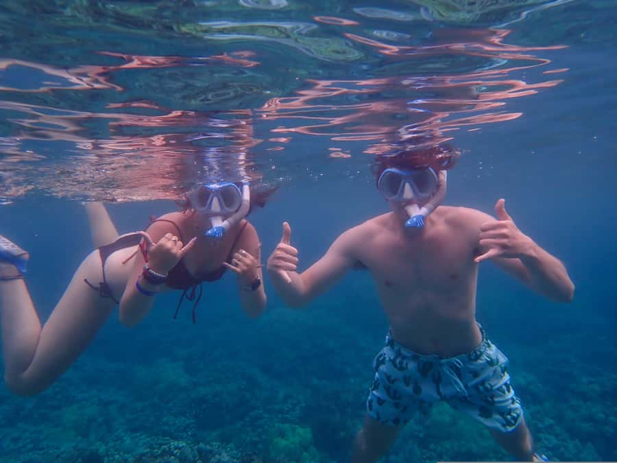 Turtle Town Clear Kayak & Snorkel Tour (8am-11am) - Weather, wind, and why your route might shorten
