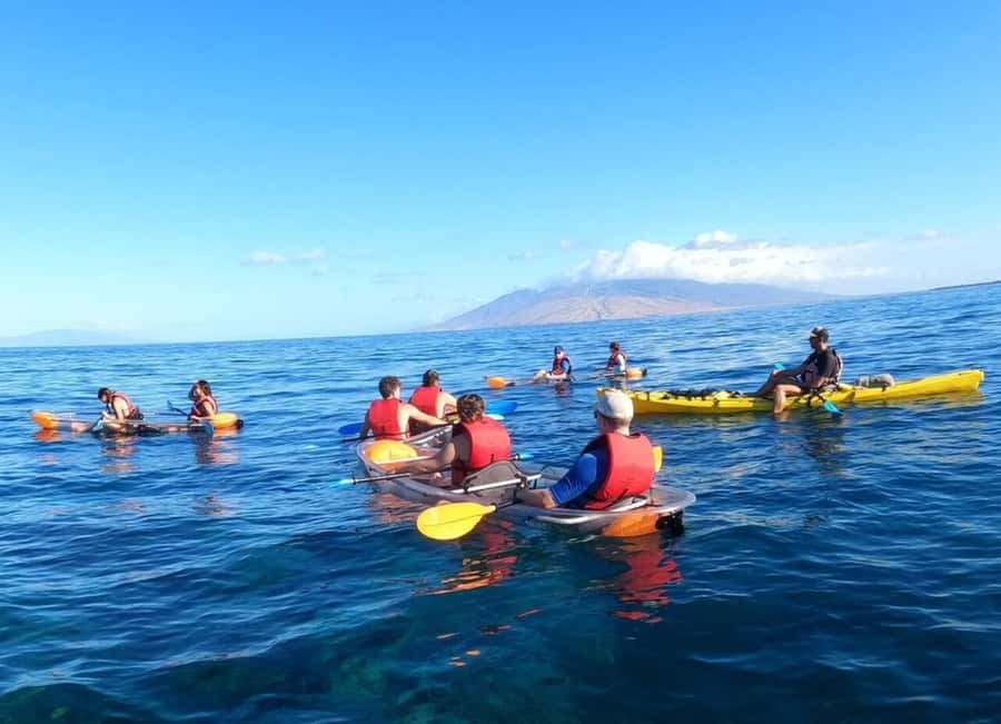 Turtle Town, Makena; Clear Bottom Kayak and Snorkel Tour - Key things to know before you go