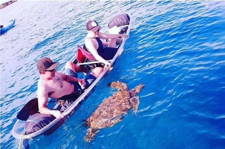 Turtle Town, Makena; Clear Bottom Kayak and Snorkel Tour - Quick practical tips so your morning goes smoothly