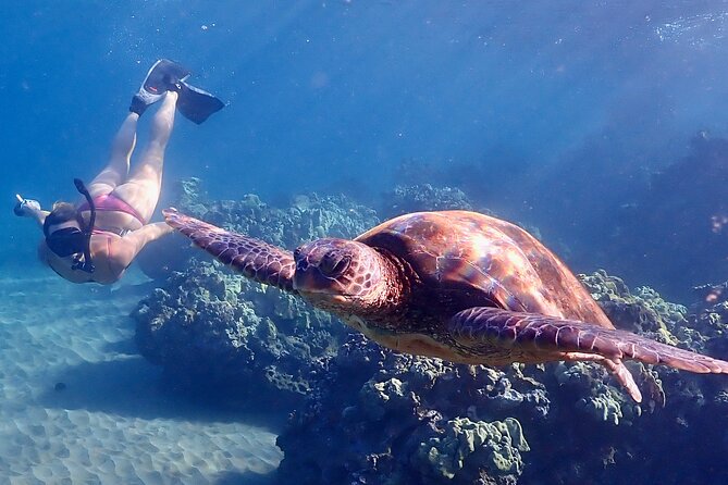 Turtle Town Snorkel with Free Photo and Video - Beginners - Maluaka Beach meetup: simple logistics, easy start