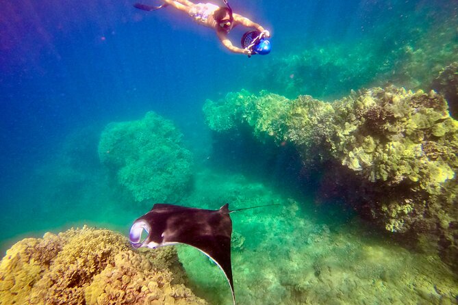 Turtle Town Underwater Scooter Snorkeling Tour with GoPro - The sea scooter experience: why it changes everything