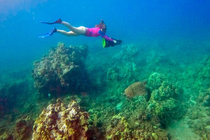Turtle Town Underwater Scooter Snorkeling Tour with GoPro - Turtle Town’s reef targets: green turtles and the rest of the cast