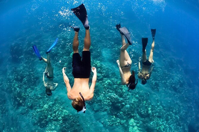 Turtles & Tacos Luxury Catamaran Snorkel - From Maalaea Harbor to Snorkel Start: The Catamaran Setup