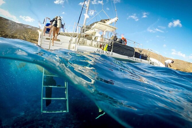 Turtles & Tacos Luxury Catamaran Snorkel - Comfort and Timing: Why the 3-Hour Length Works