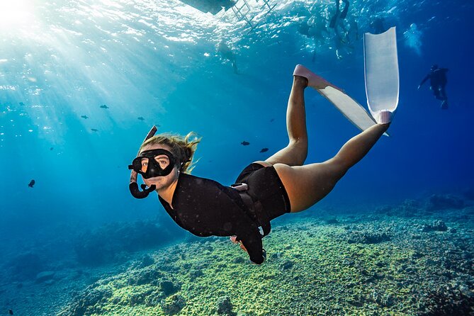 Two Site Snorkeling Adventure featuring the Molokini Crater - Key things to know before you go