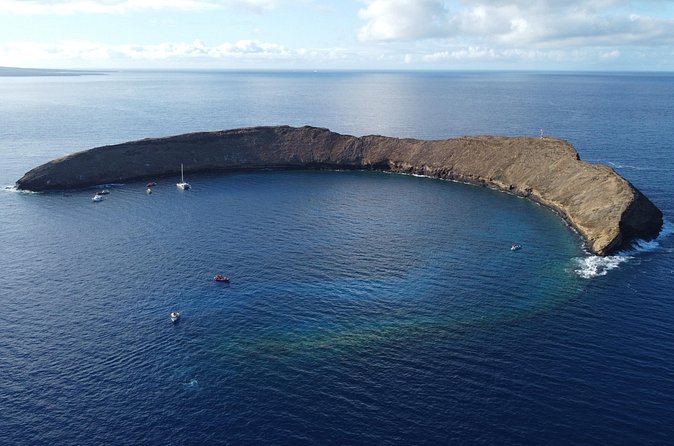 Two Site Snorkeling Adventure featuring the Molokini Crater - Fitness reality check: moderate effort in open water