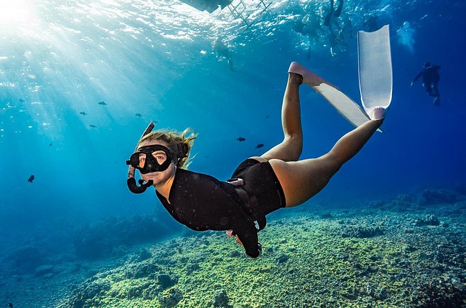 Two Site Snorkeling Adventure featuring the Molokini Crater - Price and value: is $174 worth it for this format?