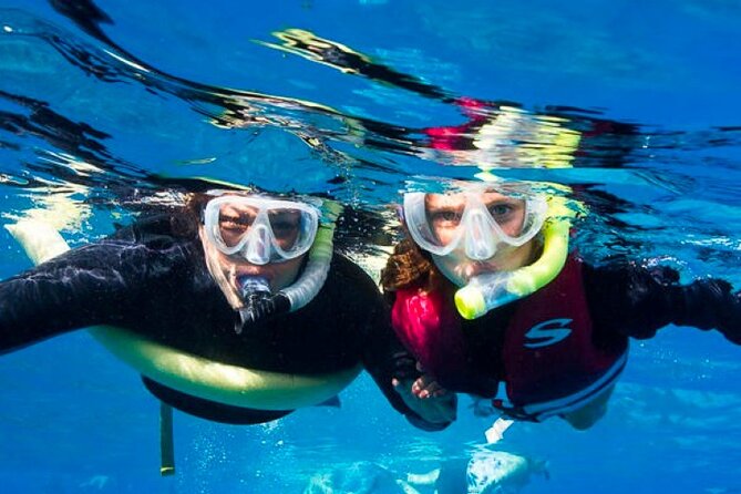Two Stop Snorkel Adventure from Maui - Key Highlights Worth Your Time