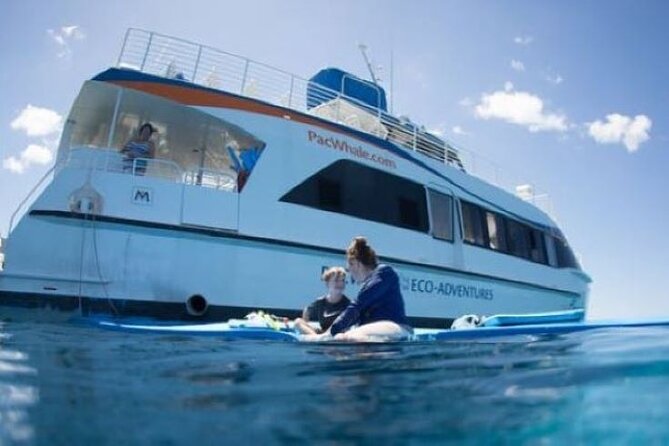 Two Stop Snorkel Adventure from Maui - Weather Matters: How to Think About “Good Weather” Days