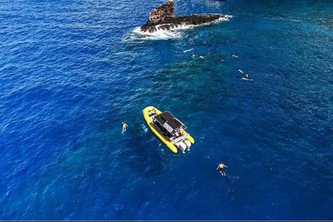 Ultimate 4 Hour Lanai Snorkel and Dolphin Encounter - The Real Value in the $175 Price Tag
