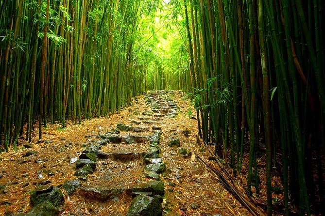 Ultimate Hana Full-Day Adventure Tour - Into old Hawaii: the Seven Sacred Pools waterfall hike