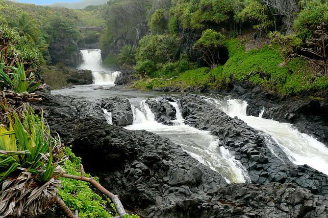 Ultimate Hana Full-Day Adventure Tour - Lunch and snacks: fueling a long day without hunting