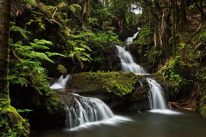 Ultimate Hawaii Road Trip: 4-Island Self-Guided Audio Tours - Road to Hana (Maui): 65 miles of storytelling on a road worth driving