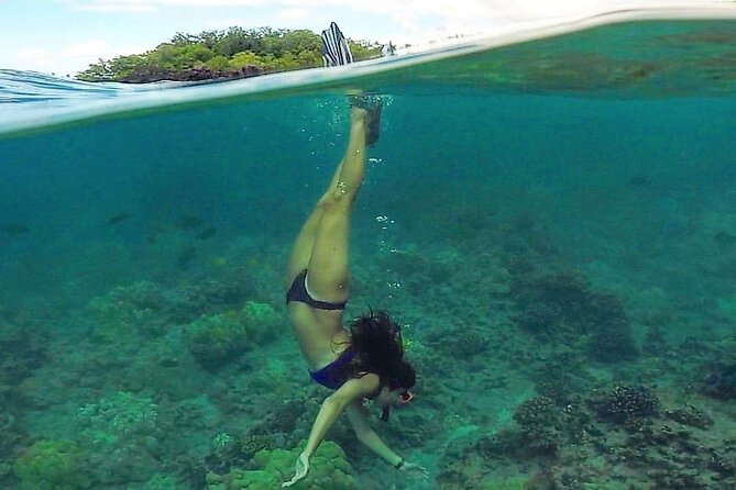 Ultimate Maui Kayak Snorkel Experience - Safety Style: Professional Guidance Without Killing the Fun