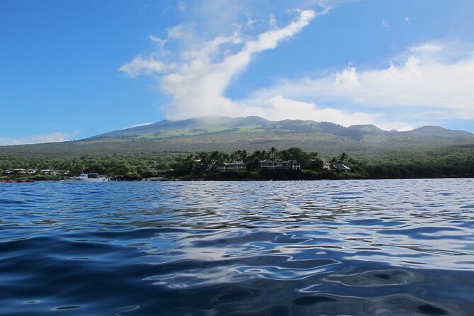 Ultimate Maui Whale Watch Snorkel Tour - Two snorkel stops and Green Sea Turtle encounters that feel real