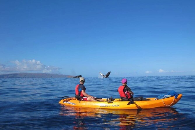 Ultimate Maui Whale Watch Snorkel Tour - What’s included (and why it adds value on Maui)